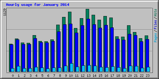 Hourly usage for January 2014