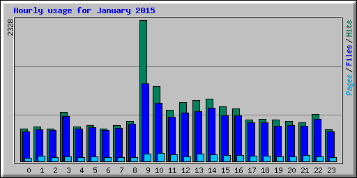 Hourly usage for January 2015