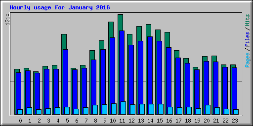 Hourly usage for January 2016